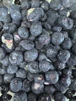 Freeze Dried Blueberries