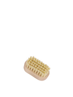 Child Nail Brush - Tampico Bristle